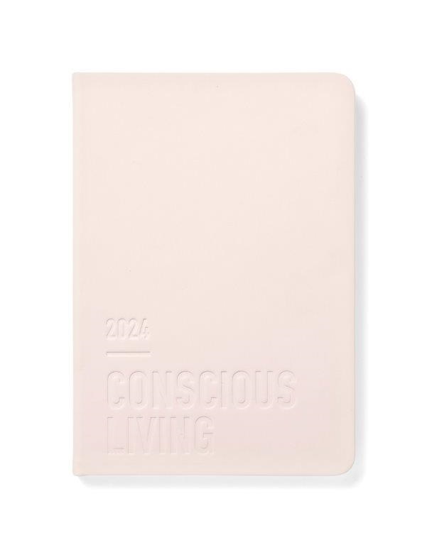 LETTS A5 DIARY 2024 CONS DTP ROSE (2404)